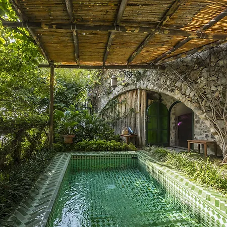 Treville מלון 5*